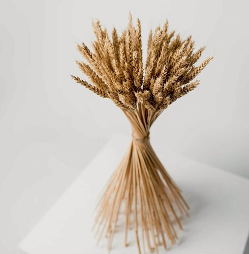 Изображение товара Сухоцветы для декора пшеница 35 шт, высота 55-60 см.