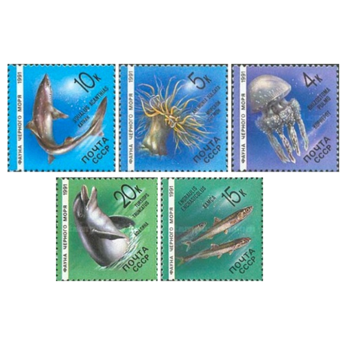 Почтовые марки СССР 1991г. Фауна Чёрного моря Фауна, Морская фауна, Акулы, Рыбы, Дельфины, Млекопитающие MNH