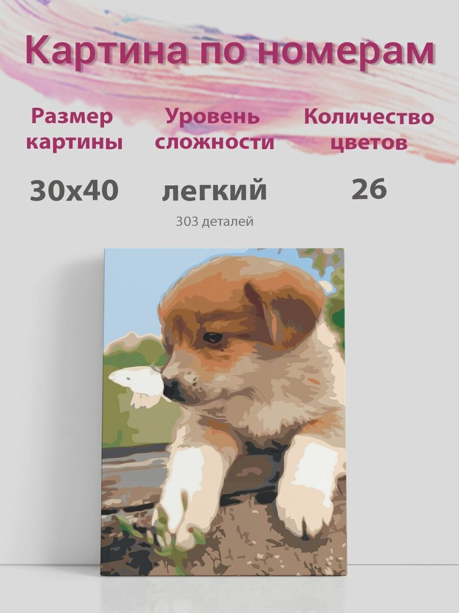 Картина по номерам на холсте с подрамником, "Собака щенок и бабочка", 30х40 см