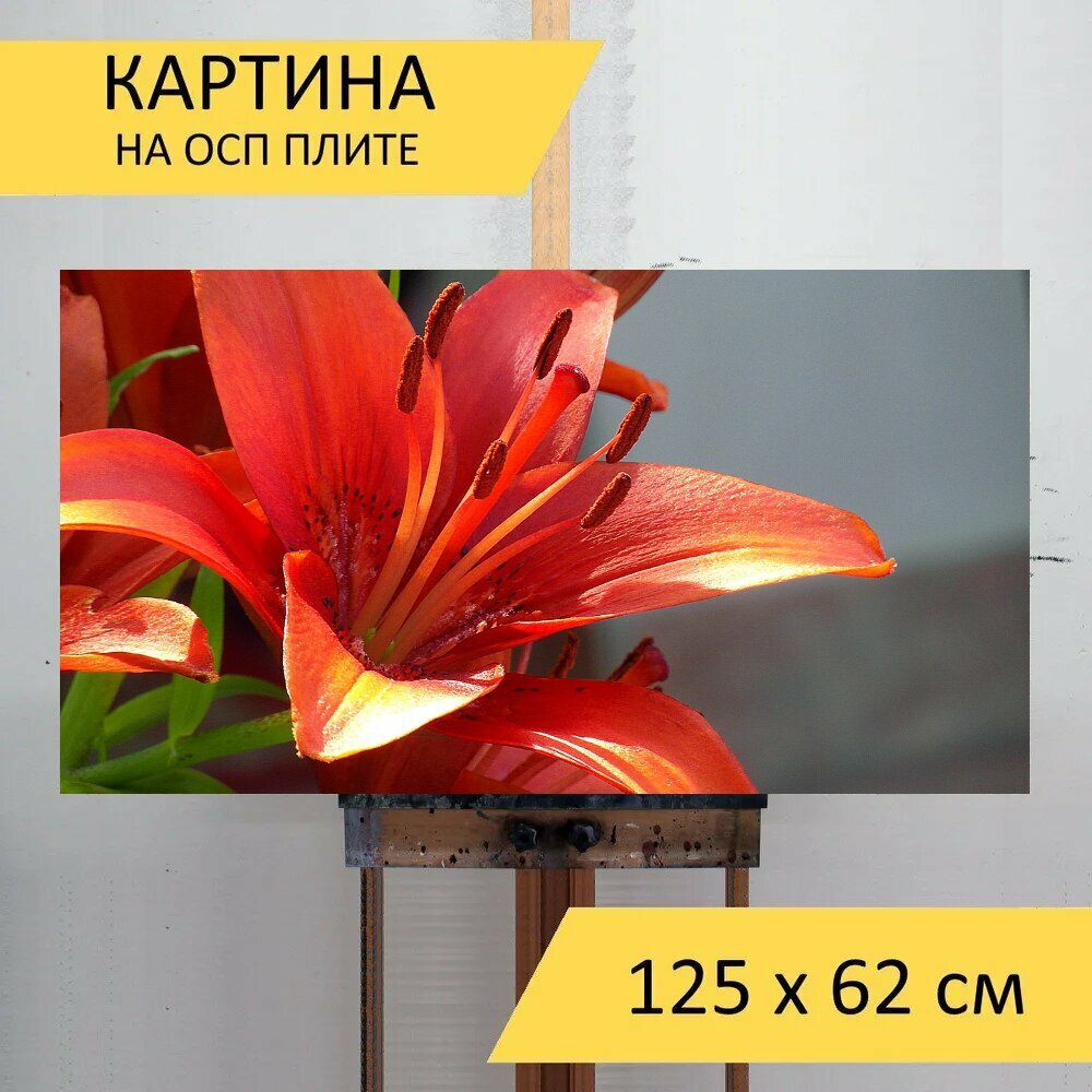 Картина на ОСП 125х62 см. 