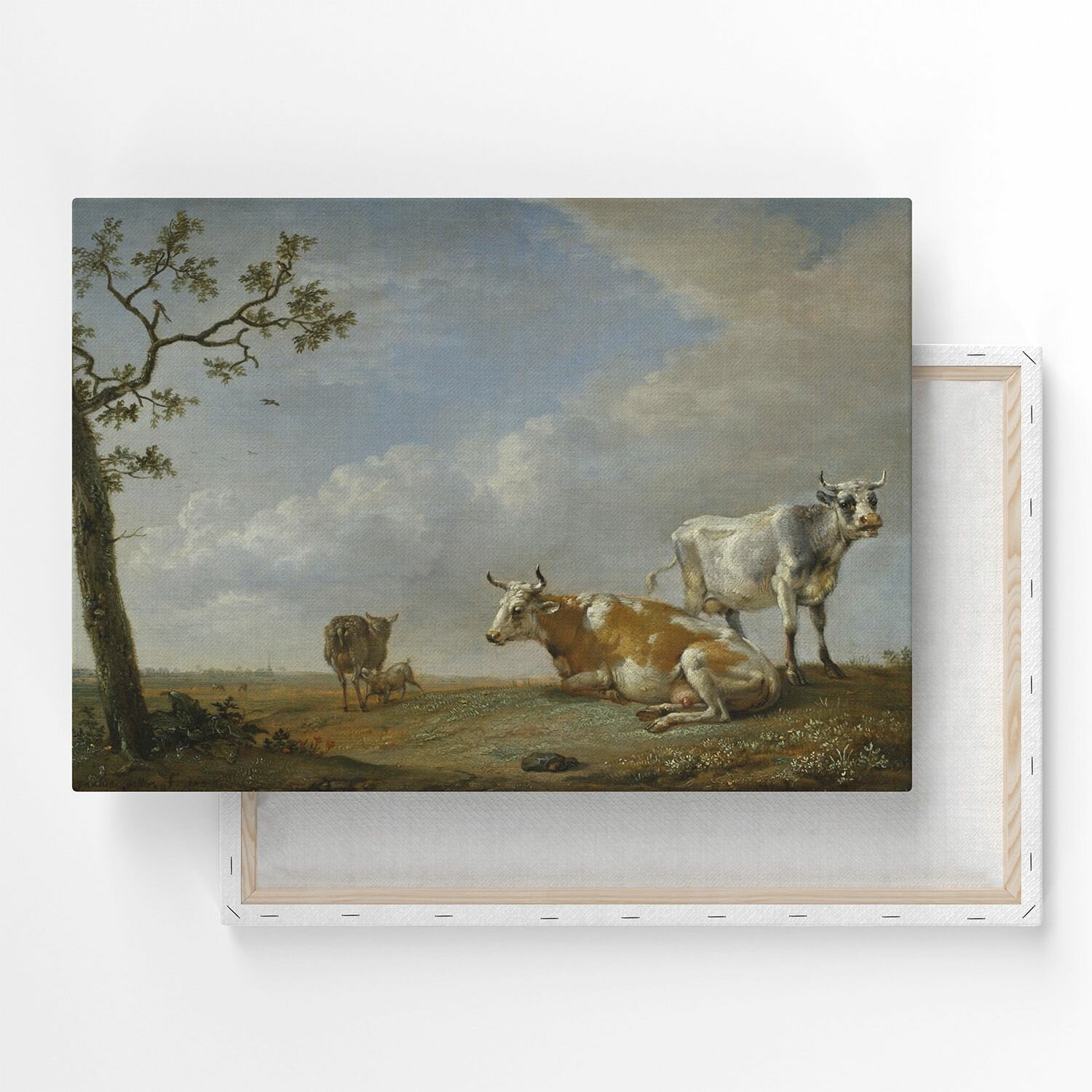 Картина на холсте, репродукция / Паулюс Поттер - In the Pasture / Размер 30 x 40 см