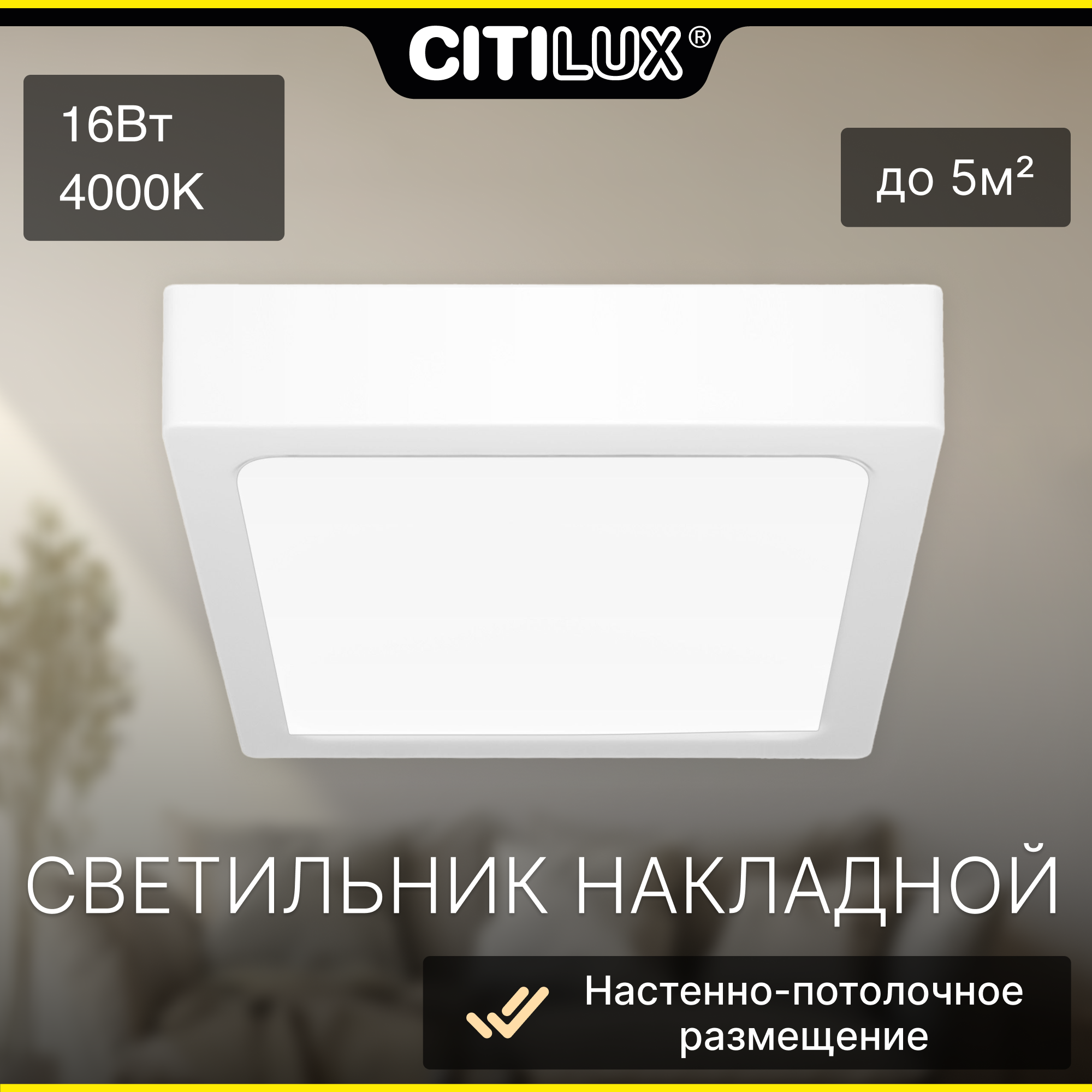 Светильник накладной светодиодный Citilux Галс CL55K16N
