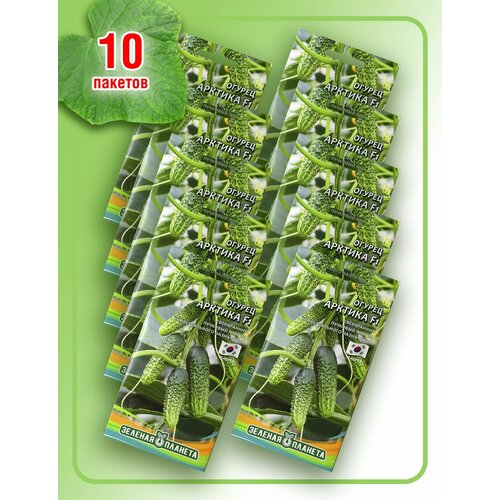 Огурец Арктика F1 (в 1 пакете 8 семян) 10 упаковок