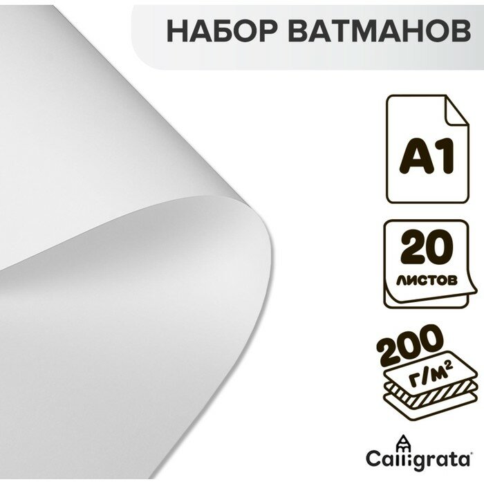 Calligrata Набор ватманов чертёжных А1, 200 г/м², 20 листов