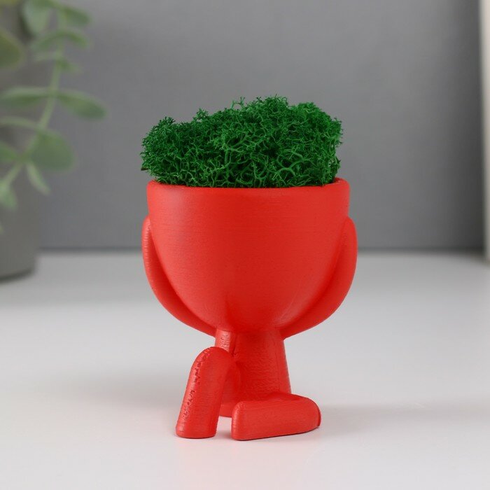 фото Кашпо бетонное мини "Мистер Грин" Ивадзару со мхом красный 5,5х6,5х6,5 см (мох зел стабил)
