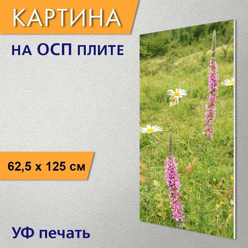 Вертикальная картина на ОСП "Цветы, травы, вербейник" 62x125 см. для интерьериа