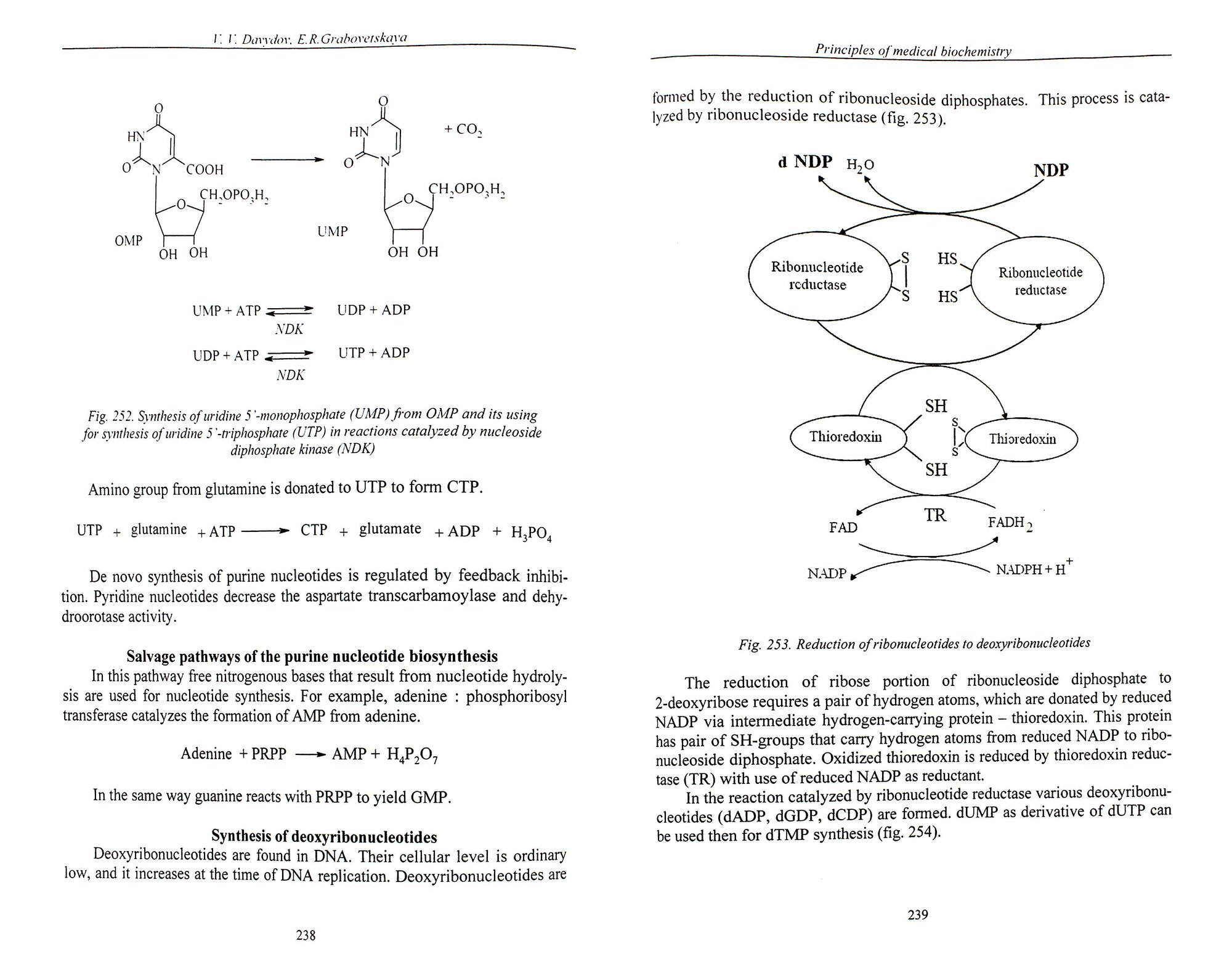 Основы медицинской биохимии. Principles of medical biochemistry - фото №3