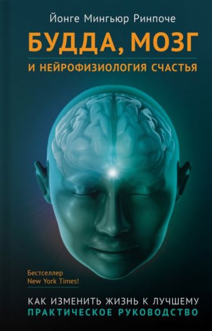 Будда мозг и нейрофизиология счастья Как изменить жизнь к лучшему Практическое руководство - фото №15