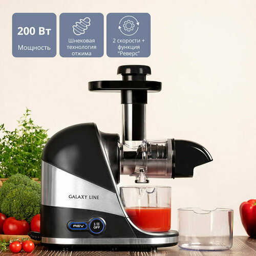 Соковыжималка Galaxy Line GL0817 813900₽
