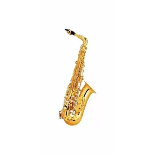 JBAS-200GL альт-саксофон Eb, покрытие золотой лак, доп. клапаны F и верхний F#, кнопки перламутр, упор и U-крюк, в комплекте пласт. кейс, мундштук, лигатура, колпачок, тряпочка, гайтан. Pierre Cesar