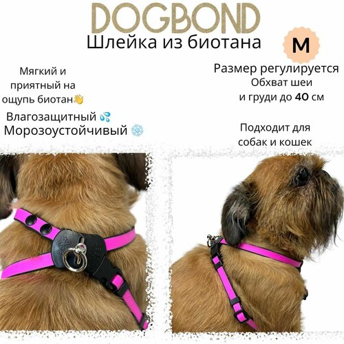 Шлейка Dogbond 