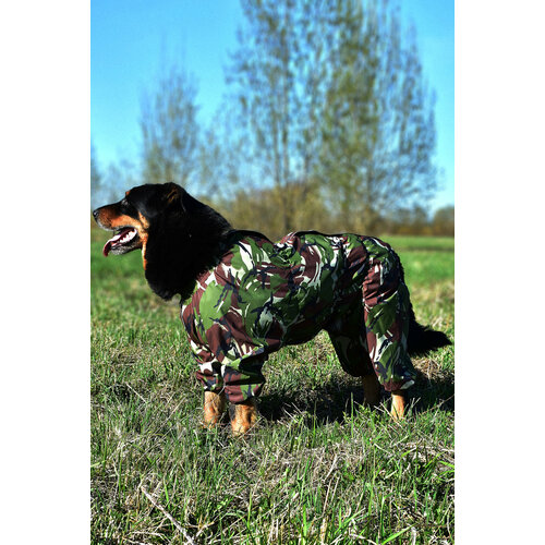 Дождевик ДжекиДог без подклада для собак-мальчиков р.4XL камуфляж