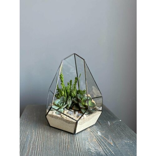 Флорариум «mini world»