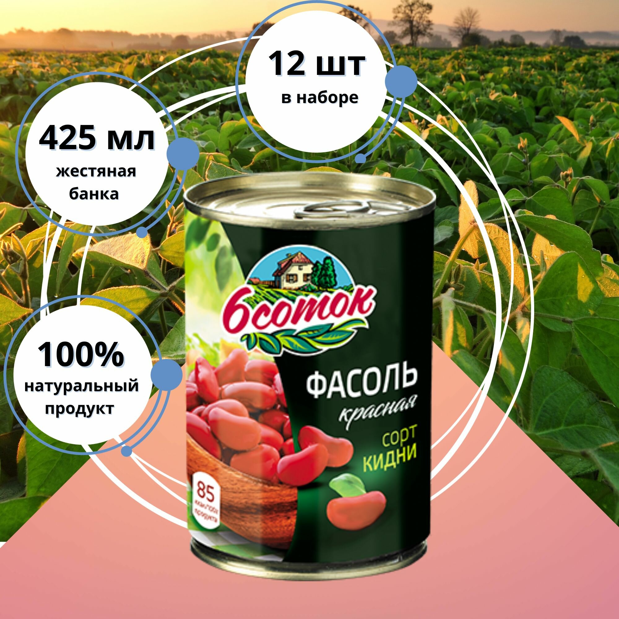Фасоль консервированная красная "6 Соток", 12 штук по 425 мл.