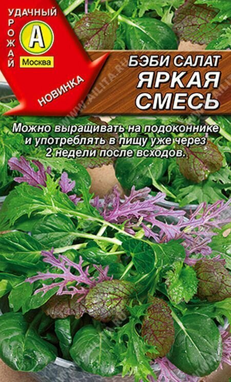Семена Бэби салат Яркая смесь
