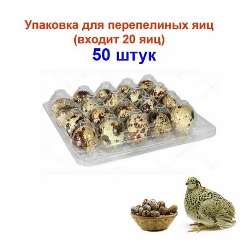 Контейнер для перепелиных яиц 20 ячеек 50 штук в комплекте 750₽