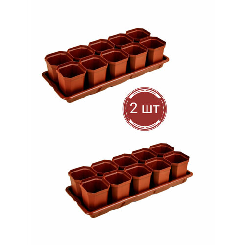Наборы для рассады на поддоне 20 горшков 0,3л.(410*170*90) (2 упаковки по 10 горш) коричневый