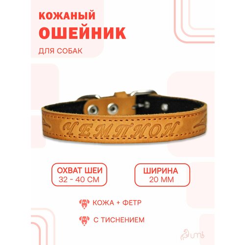 Кожаный ошейник на фетре с тиснением "Чемпион" (обхват шеи 32-40 см.) для собак