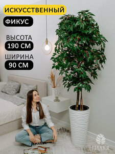 Основная фотография от вендора