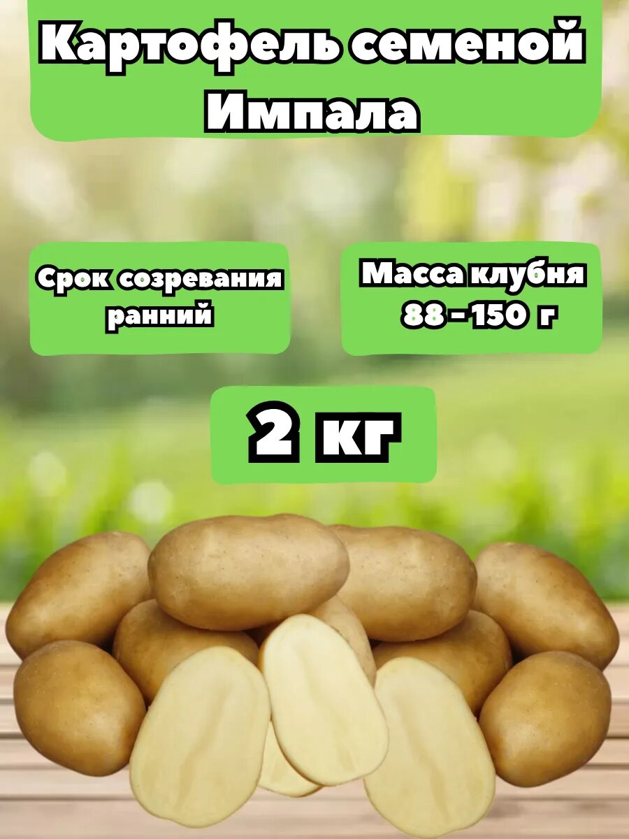 Картофель Импала 2 кг