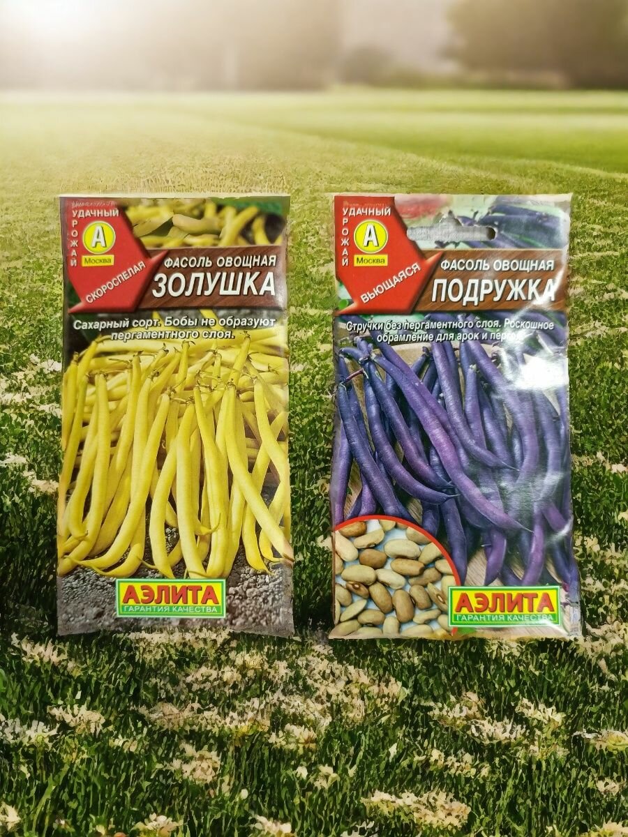 Набор семян спаржевой фасоли 2 вида   кустовая   Золушка   вьющаяся   Подружка по 1 пакету
