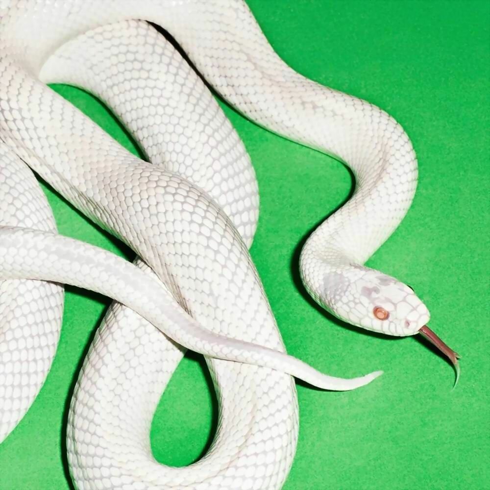 Deftones – Private Music (LP)