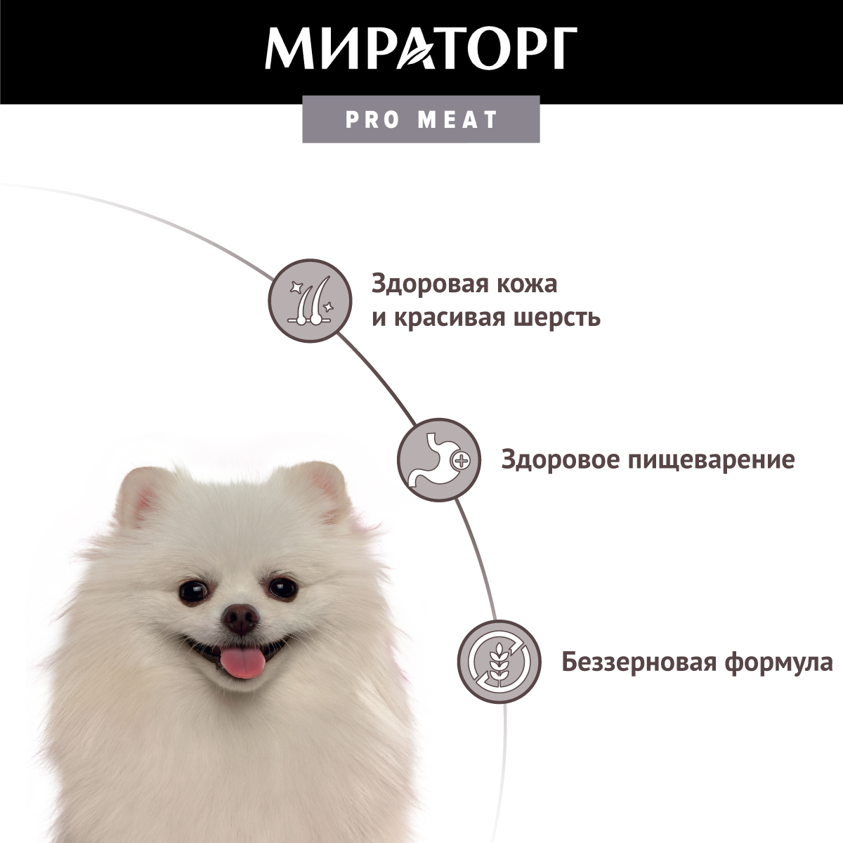 Сухой корм для собак Мираторг для мелких пород с ягненком и картофелем 2.6кг Короча - фото №3