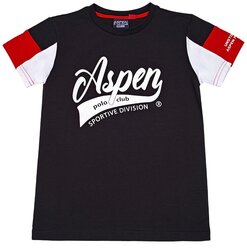 Футболка для мальчика Aspen Polo Club цвет черный 10 лет