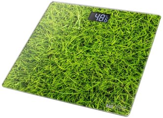 Весы электронные Home Element HE-SC906 Grass