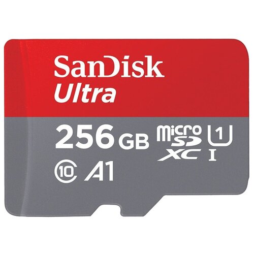 Карта памяти SanDisk microSDXC 256 ГБ Class 10, A1, UHS Class 1, R 100 МБ/с, адаптер на SD, 1 шт. карта памяти microsdxc sandisk ultra uhs i 256gb sdsquac 256g gn6mn