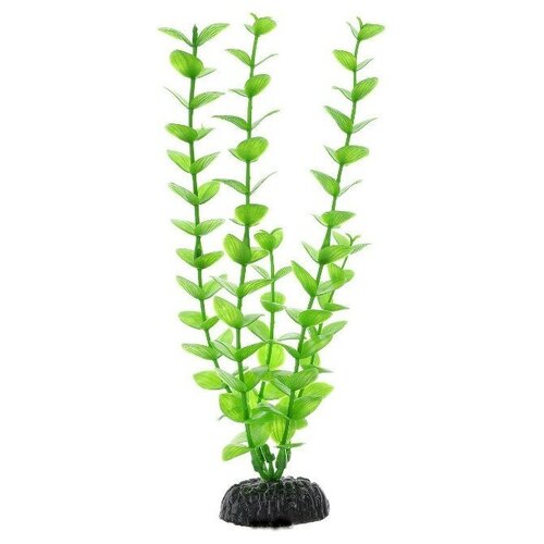 Растение для аквариума пластиковое Бакопа зеленая, BARBUS, Plant 010 (20 см) растение для аквариума пластиковое barbus plant 026 20 бакопа синяя 20 см 1 шт