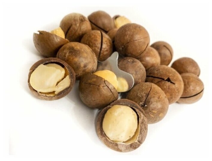 Орех MACADAMIA макадамия крупный сорт Австралия с ключиком, 1000 грамм BIONUTS — фото 1