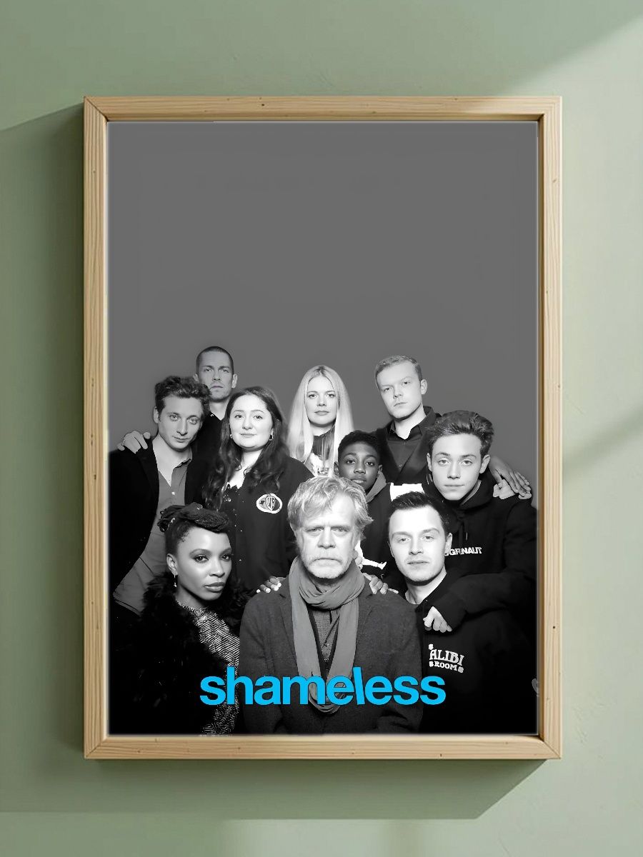 Постер, плакат на стену "Стыдливые / Shameless" 42 см х 29,7 см (А3), Без Рамы