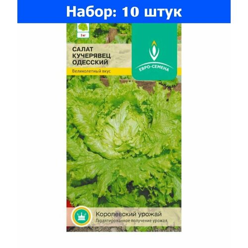 Салат Кучерявец одесский полукочанный 1г Ср (Евро-сем) - 10 пачек семян томат малиновка 0 1г дет ср евро сем 10 пачек семян