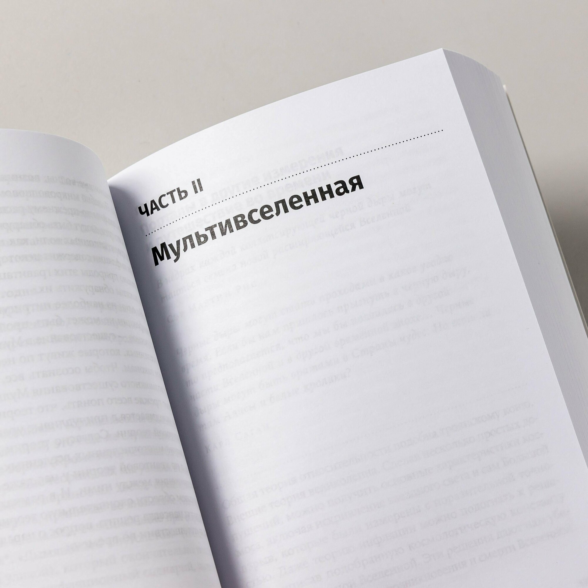 "Параллельные миры: Об устройстве мироздания, высших измерениях и будущем космоса" / Научно-популярная литература / Митио Каку