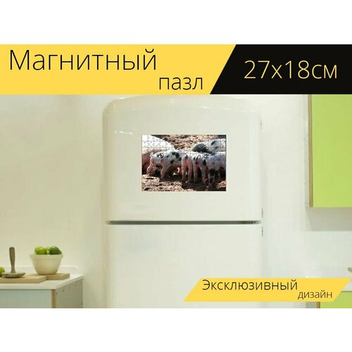 Магнитный пазл Животное, свиньи, поросенок на холодильник 27 x 18 см.