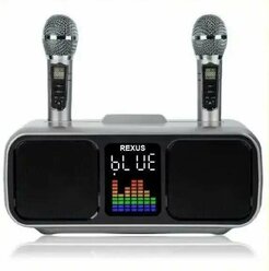 REXUS SD-318 Dark Grey - беспроводная караоке система, 2 радиомикрофона, USB, Bluetooth, оптический вход