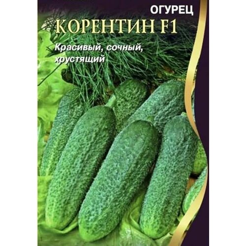 Коллекционные семена огурца КорентинF1