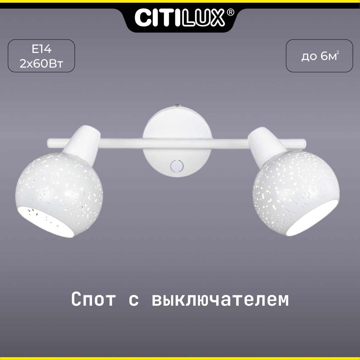 Спот Citilux Деко CL504520 E14