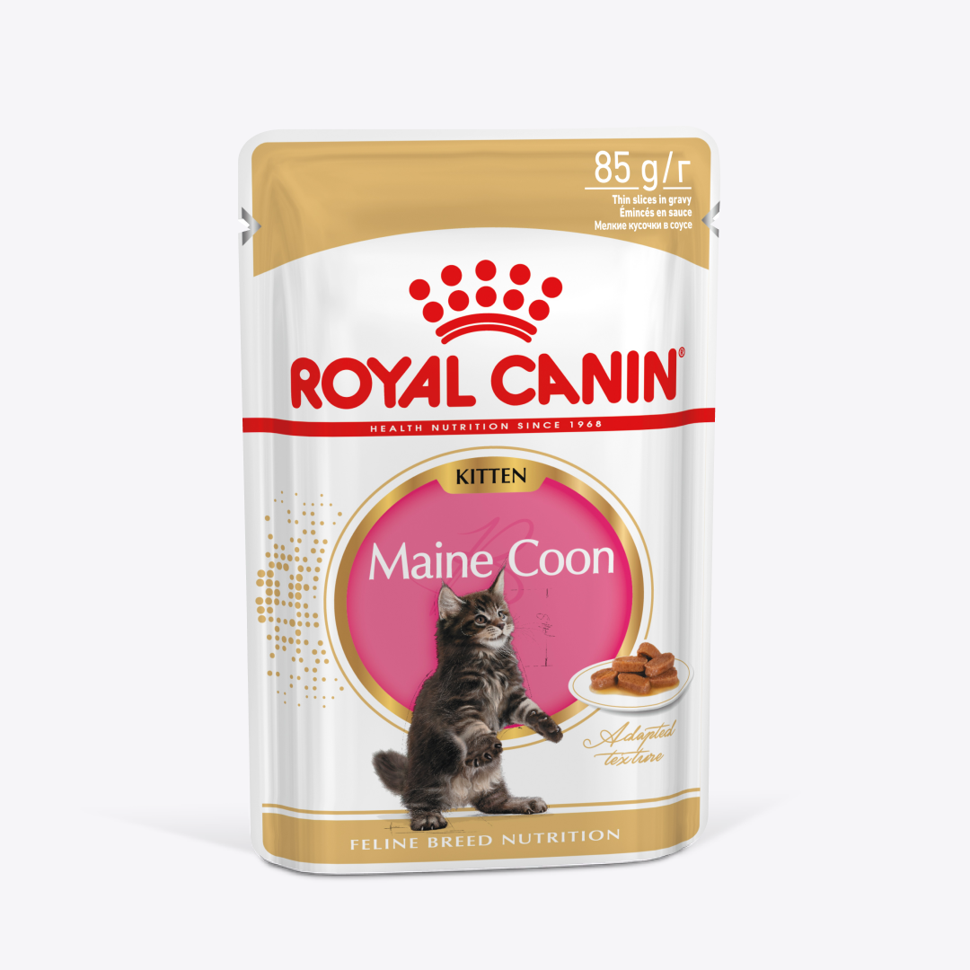 Корм Royal Canin для котят породы Мэйн Кун в возрасте до 15 месяцев MAINE COON KITTEN (мейн КУН киттен), мелкие кусочки в соусе, 28х85г