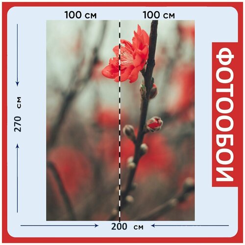 Фотообои Персиковый цвет цветок филиал 200x270 см флизелиновыена стену 2940₽