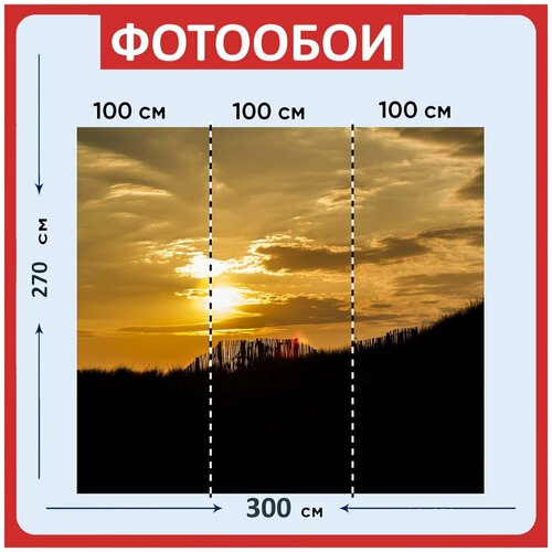 Фотообои Даг три коричневый дерн плоскостопия 300x270 см флизелиновыена стену 3970₽