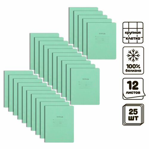 Набор тетрадей 25 штук 12 листов в крупную клетку с таблицей умножения 640₽