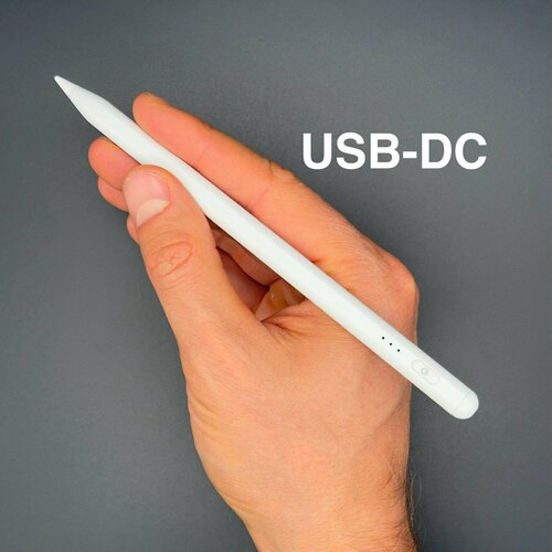 Стилус для планшета iPad 2018-2024 2 наконечника С изменением толщины линии от угла наклона 3370₽