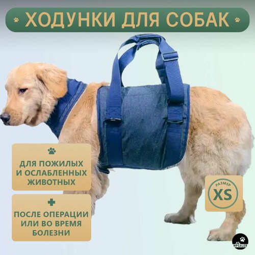 Полная поддержка для собак. Ходунки для пожилых и травмированных собак. Размер S.