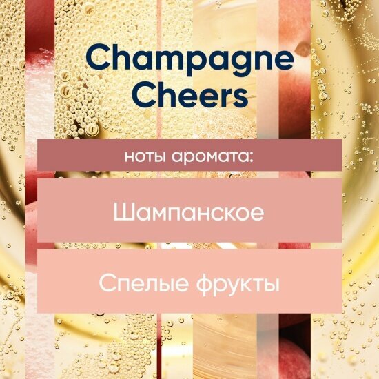 Сменный баллон Glade Automatic CHAMPAGNE CHEERS Брызги Шампанского, 269 мл — фото 1