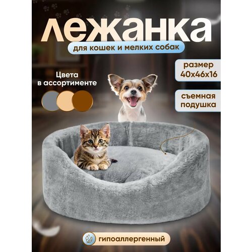 Мягкая лежанка для котят и собак мелких с подушкой