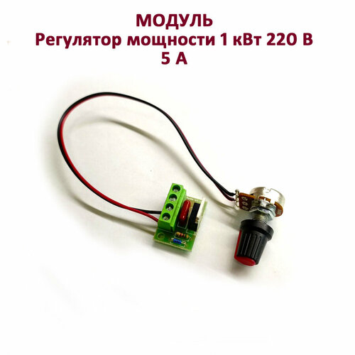 Модуль - Регулятор мощности 1 кВт 220 В с выносным резистором