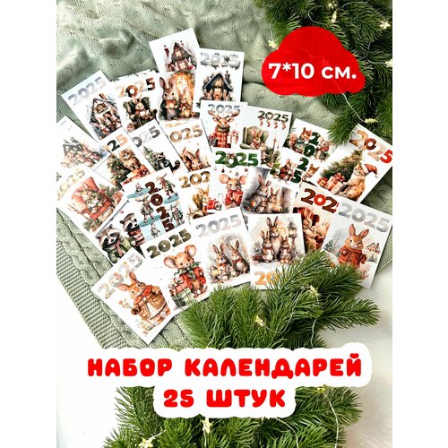 Miaworkstudio Набор карманных календарей на 2025 год 25 шт