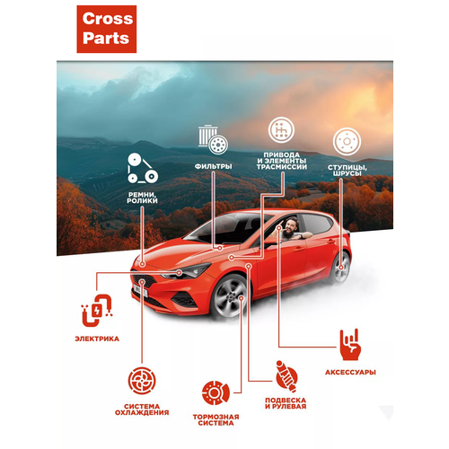 ROSTECO 20155 Прокладка впускного коллектора Lada Largus, Renault Logan, Sandero 8 клапанов 4 шт. Rosteco